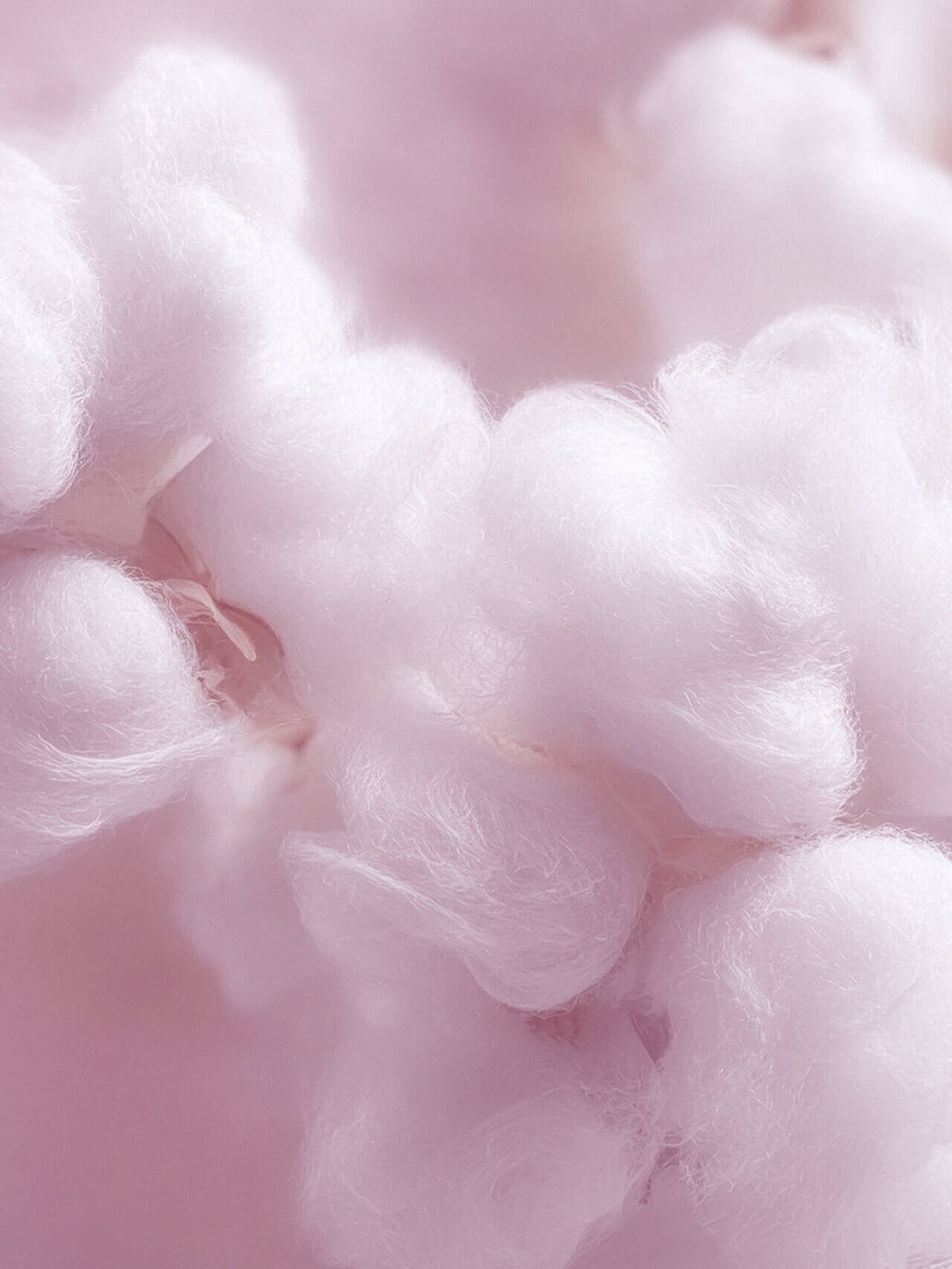 Les Essentiels - Musc Blanc