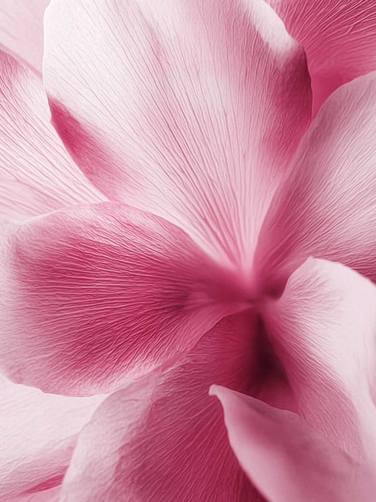 2 déodorants Solides - Parfumés Sakura
